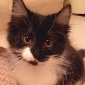 Meet your Posher, Beth